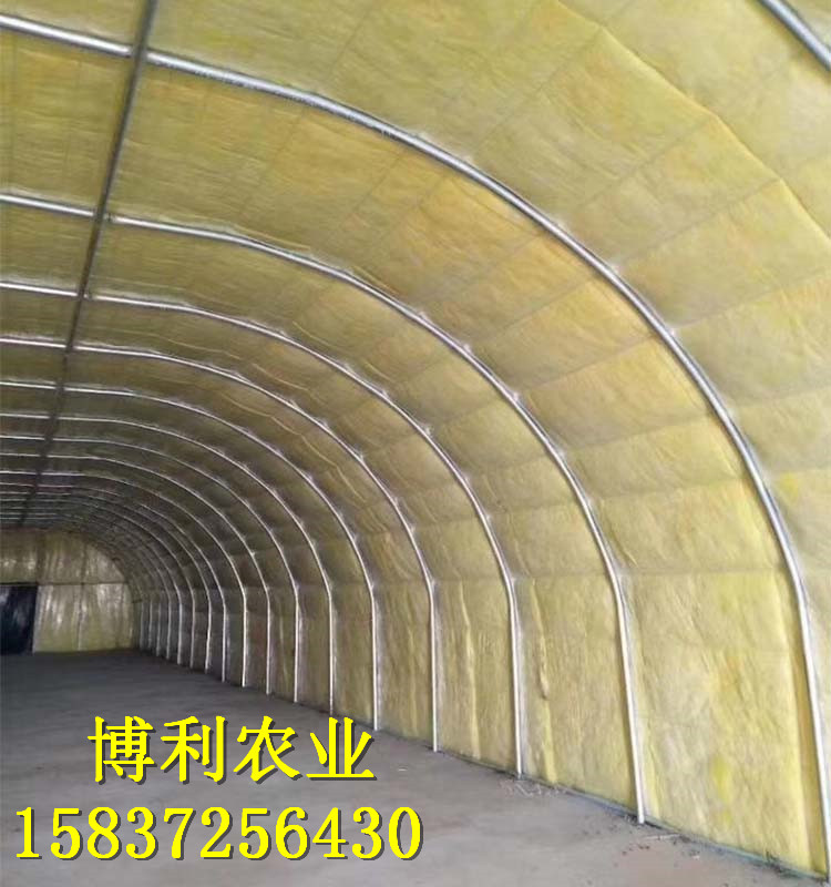菌類(lèi)大棚1
